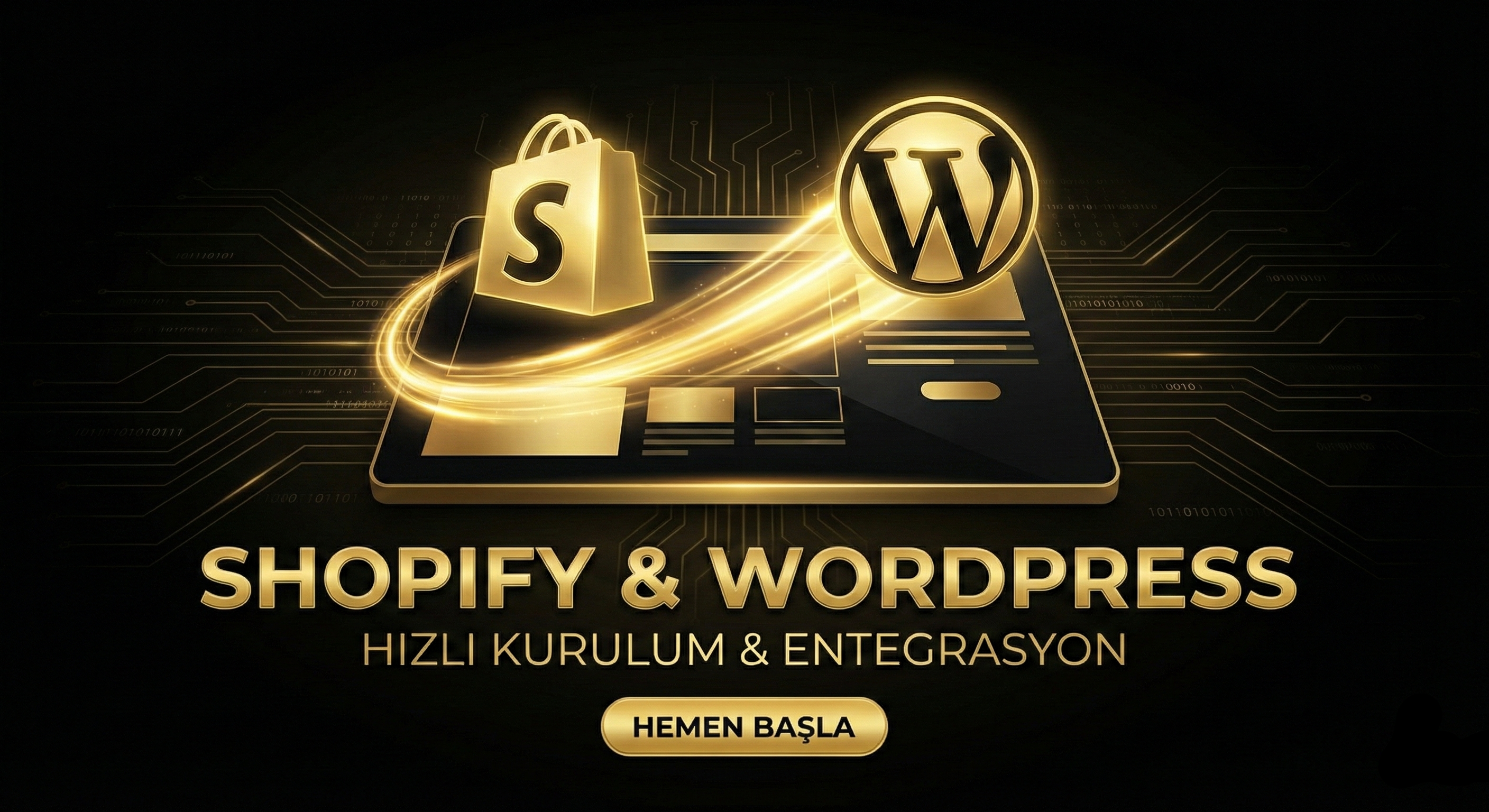 2. WordPress / Shopify görseli